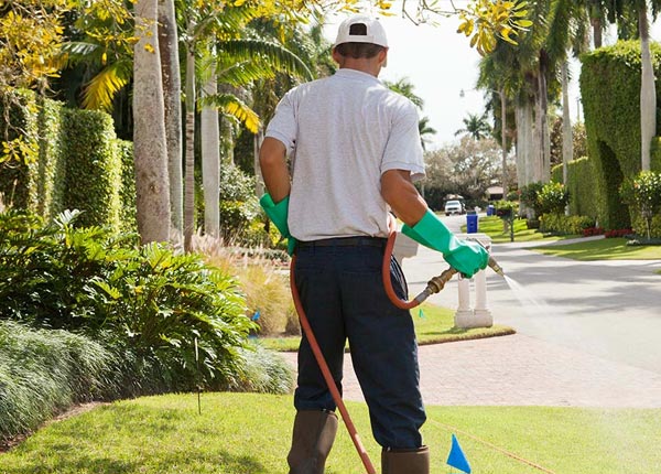 About Frederic WI Pest Control